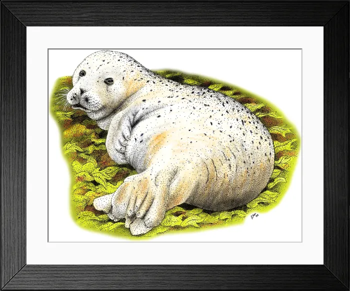 Framed Print : The Common Seal