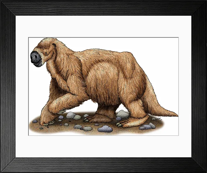 Framed Print : Jefferson's ground sloth Framed Print : Jefferson's ground sloth
