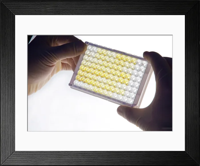 Framed Print : Compound Reactions Framed Print : Compound Reactions