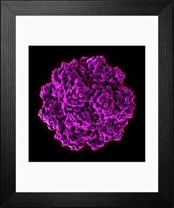 Framed Print : Tetrahedral Protein Cage Framed Print : Tetrahedral Protein Cage