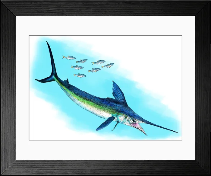 Framed Print : White marlin Framed Print : White marlin