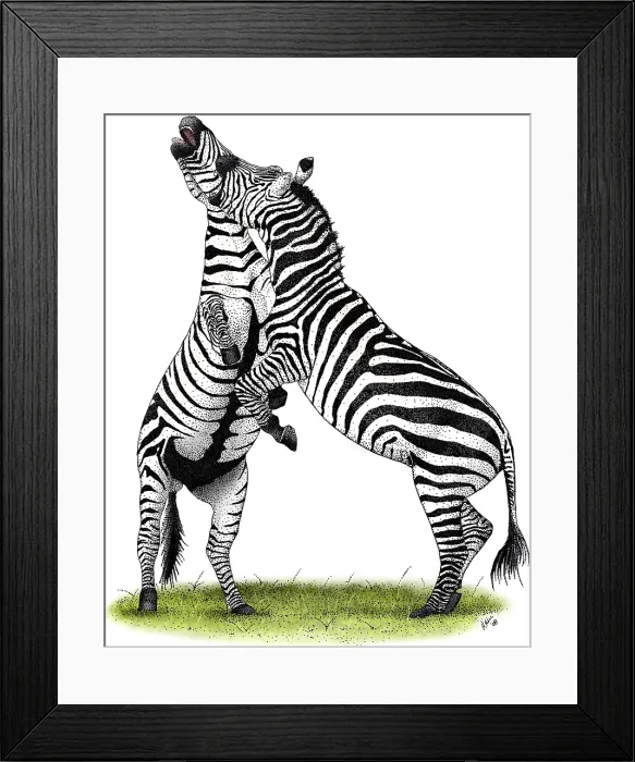 Framed Print : Grant's Zebras