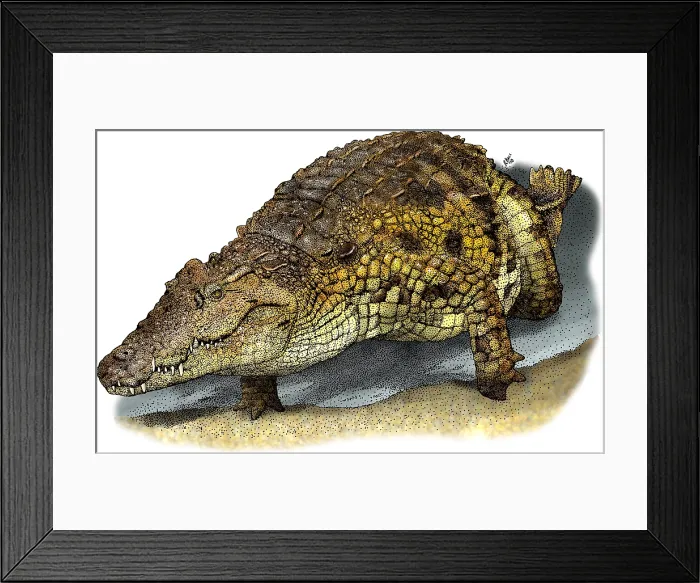 Framed Print : Nile Crocodile