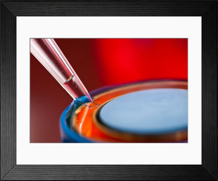 Framed Print : Scientific Equipment Framed Print : Scientific Equipment