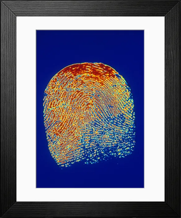 Framed Print : Human Fingerprint Framed Print : Human Fingerprint