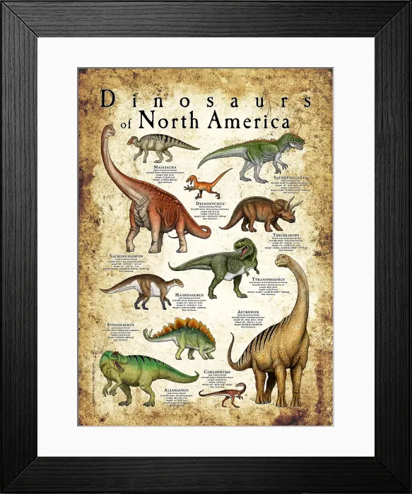 Framed Print : Dinosaurs of North America Framed Print : Dinosaurs of North America