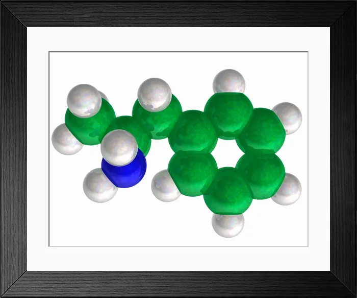 Framed Print : Amphetamine, Molecular Model Framed Print : Amphetamine, Molecular Model