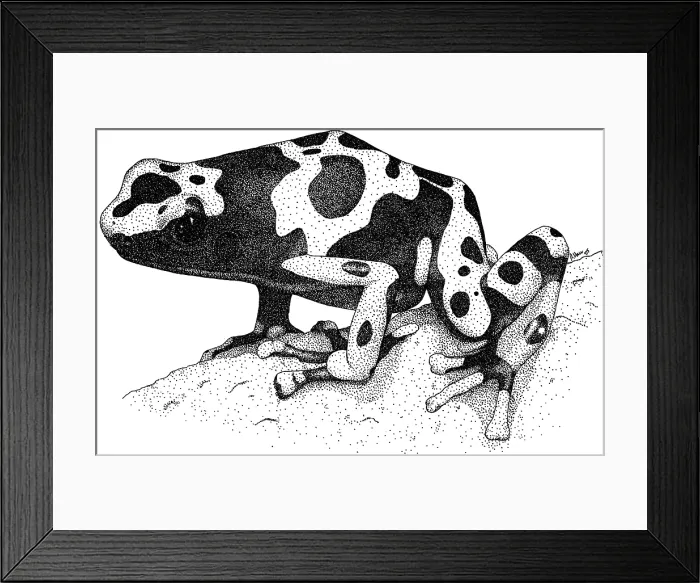 Framed Print : Yellow Banded Poison Dart Frog