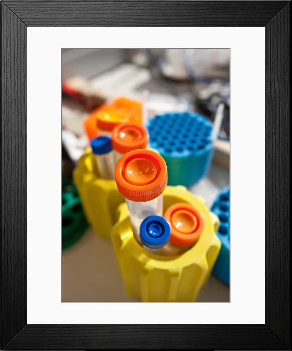 Framed Print : Laboratory Items Framed Print : Laboratory Items