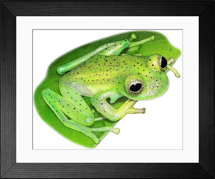 Framed Print : Emerald Glass Frog Framed Print : Emerald Glass Frog