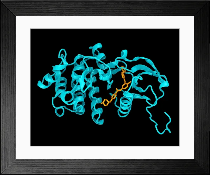 Framed Print : Imatinib in c-Abl Kinase domain, Model