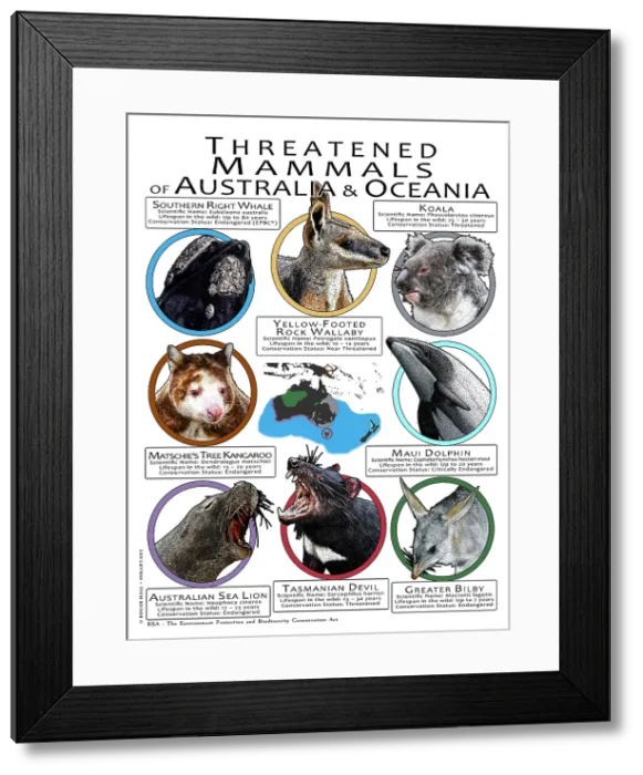 Framed Print : Endangered Mammals of Australia and Oceania Framed Print : Endangered Mammals of Australia and Oceania