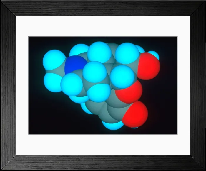 Framed Print : Morphine; computer model Framed Print : Morphine; computer model