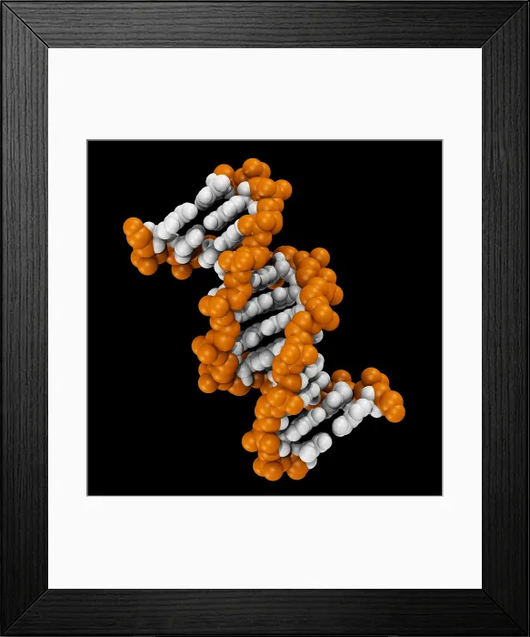 Framed Print : 3D DNA Molecule