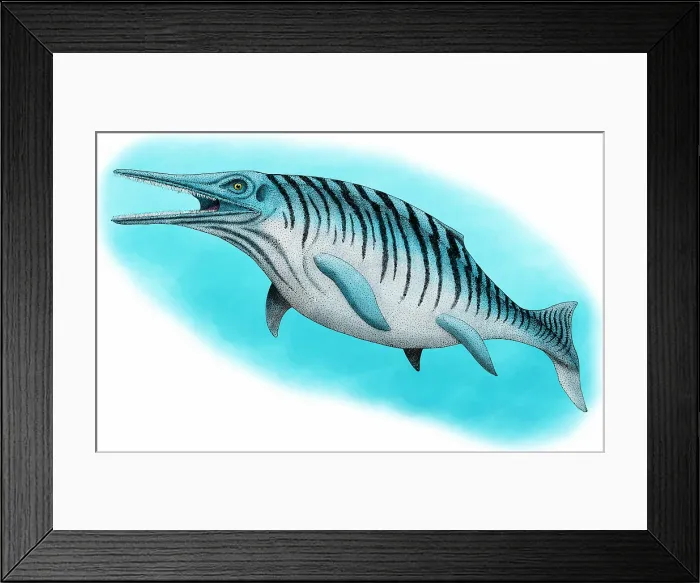 Framed Print : Ichthyosaur Framed Print : Ichthyosaur
