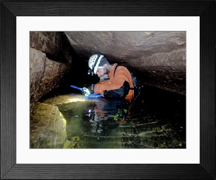 Framed Print : Cave Bioinventory