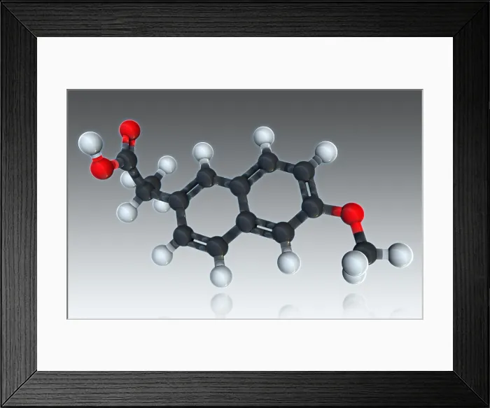 Framed Print : Naproxen, Molecular Model Framed Print : Naproxen, Molecular Model