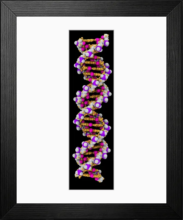 Framed Print : 3D DNA Molecule Framed Print : 3D DNA Molecule