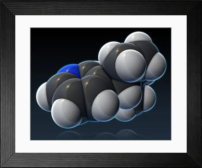 Framed Print : Nicotine Molecular Model