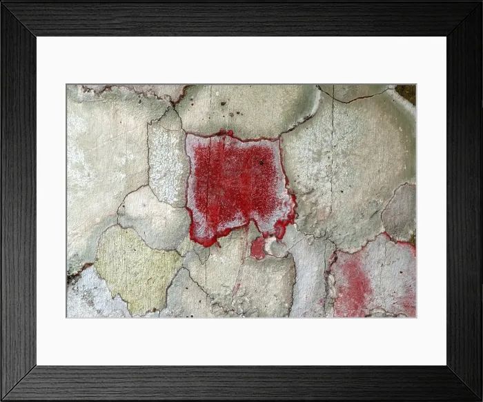 Framed Print : Christmas wreath lichen (C. rubrocincta) Framed Print : Christmas wreath lichen (C. rubrocincta)