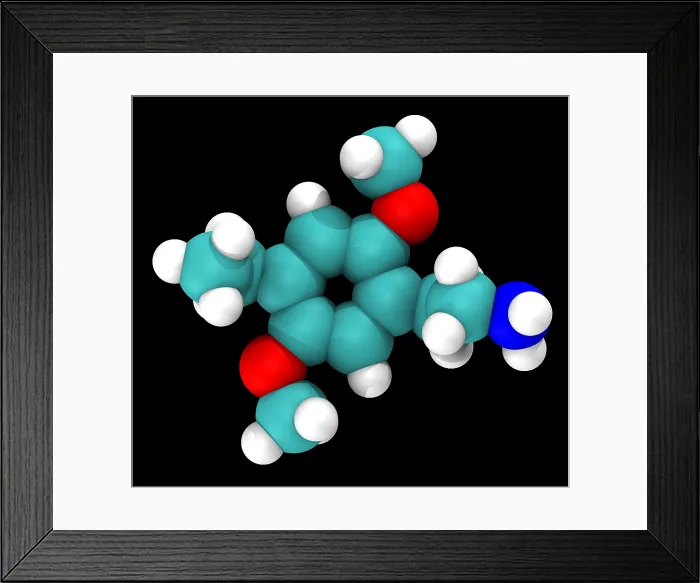 Framed Print : Molecular Model of 2C-E Framed Print : Molecular Model of 2C-E