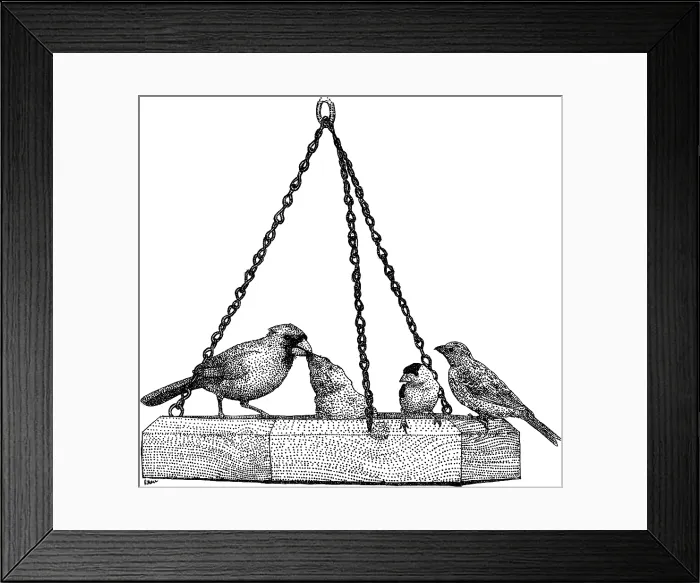 Framed Print : Birds At Birdfeeder