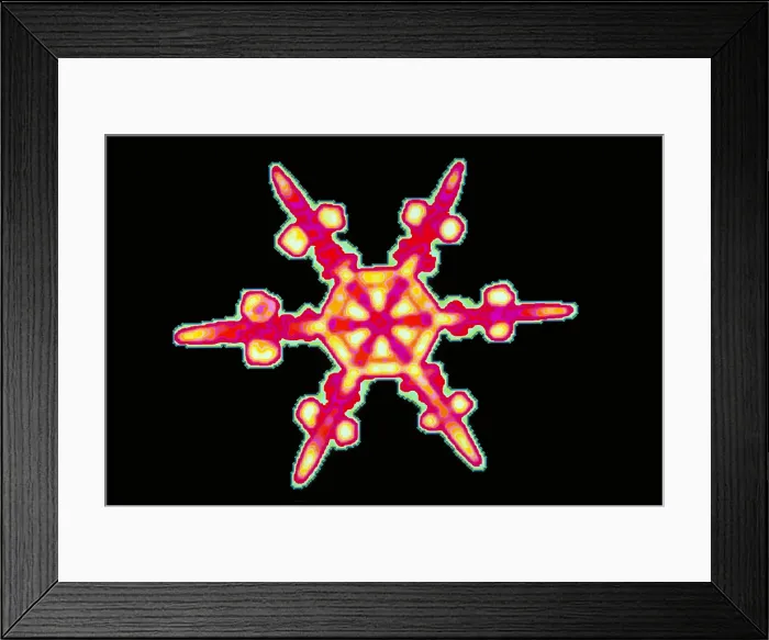 Framed Print : Snowflake Framed Print : Snowflake