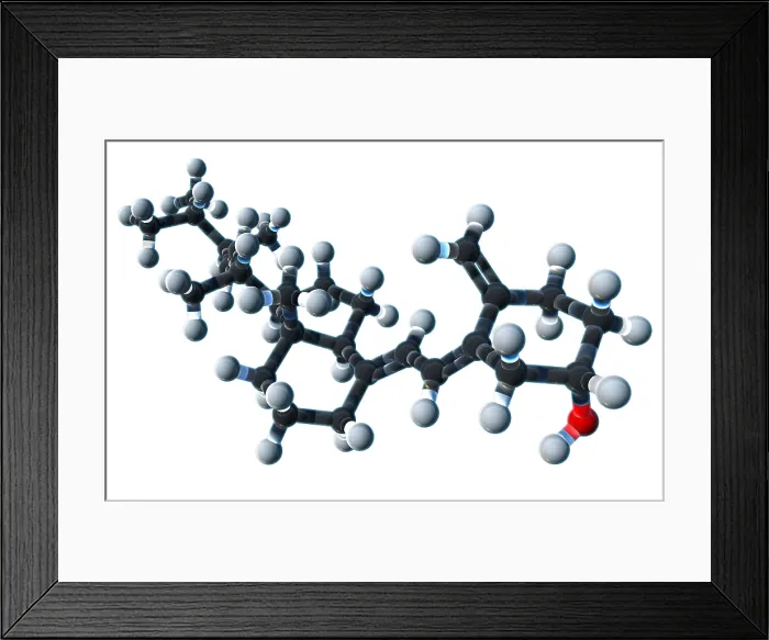 Framed Print : Vitamin D2, Molecular Model Framed Print : Vitamin D2, Molecular Model