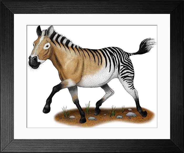 Framed Print : Hagerman horse Framed Print : Hagerman horse