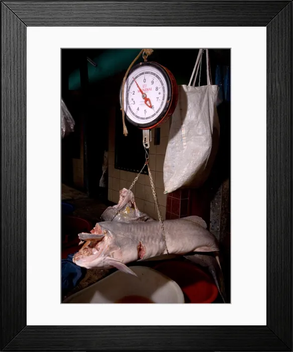 Framed Print : Fish market, Peru Framed Print : Fish market, Peru