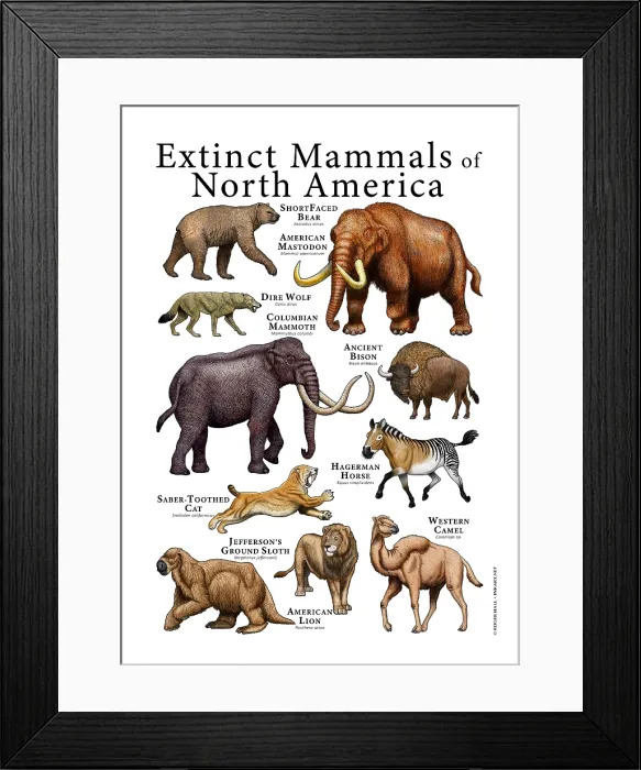 Framed Print : Extinct Animals of North America Framed Print : Extinct Animals of North America