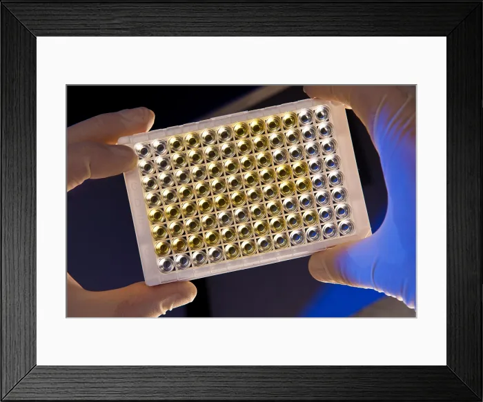 Framed Print : Compound Reactions Framed Print : Compound Reactions