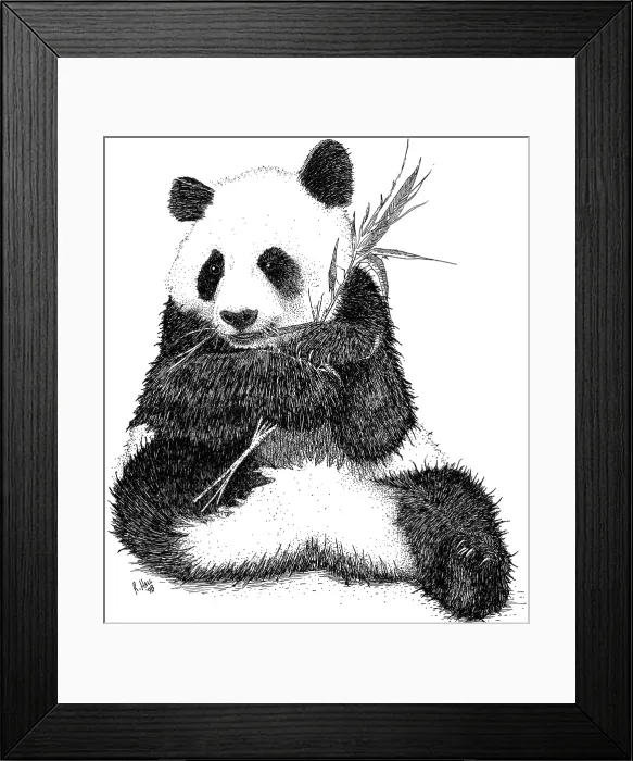 Framed Print : Giant Panda Framed Print : Giant Panda