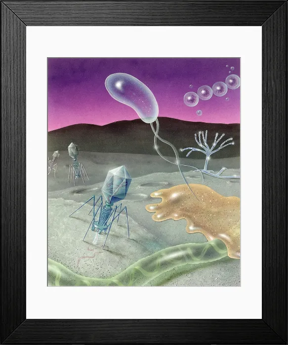 Framed Print : Microbial invasion