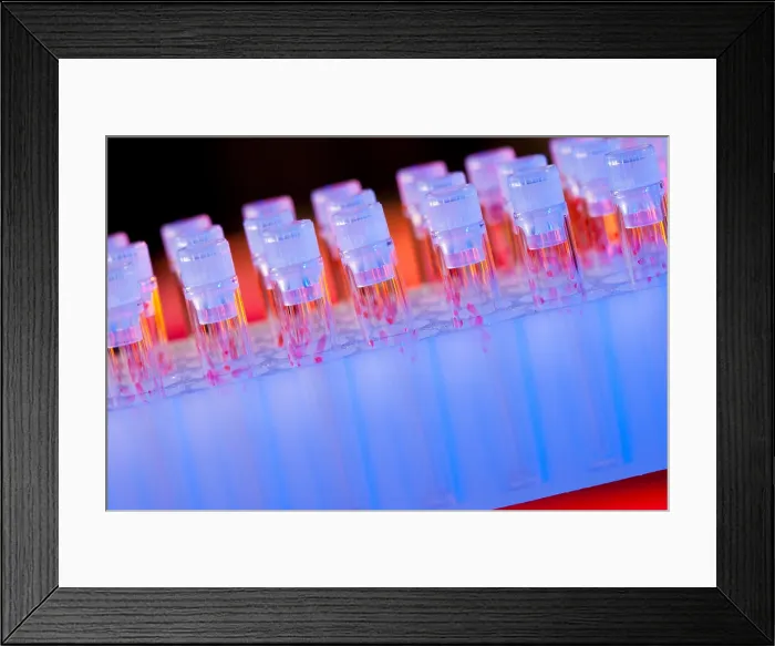 Framed Print : Vials of Samples Framed Print : Vials of Samples