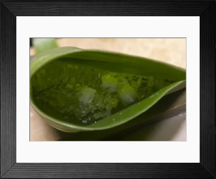 Framed Print : Funnel Nest of Frog's eggs