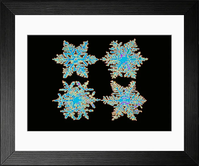 Framed Print : Snowflakes Framed Print : Snowflakes