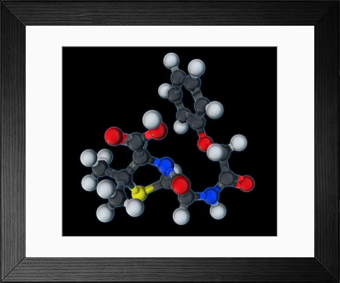 Framed Print : Penicillin V Molecular Model Framed Print : Penicillin V Molecular Model