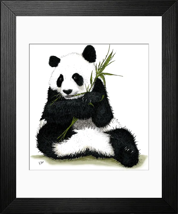 Framed Print : Giant Panda Framed Print : Giant Panda