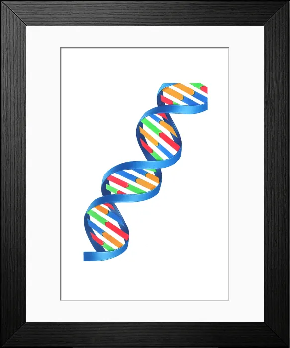 Framed Print : DNA Double Helix, Illustration