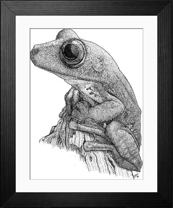 Framed Print : Gladiator Treefrog Framed Print : Gladiator Treefrog