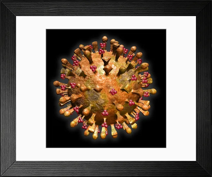 Framed Print : H5N1 Virus Framed Print : H5N1 Virus