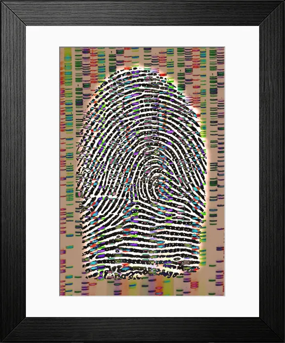 Framed Print : Fingerprint analysis Framed Print : Fingerprint analysis