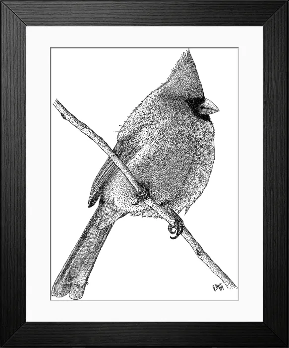 Framed Print : Northern Cardinal