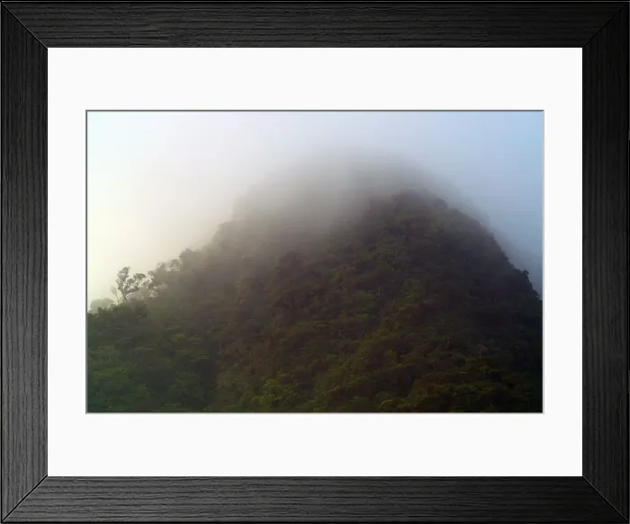 Framed Print : Cloud Forest Framed Print : Cloud Forest