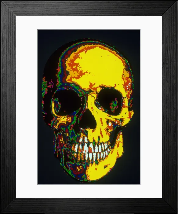 Framed Print : Human Skull