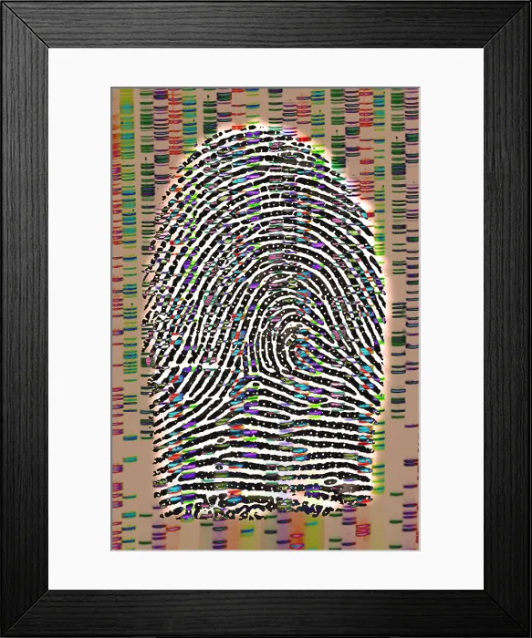 Framed Print : Fingerprint analysis Framed Print : Fingerprint analysis