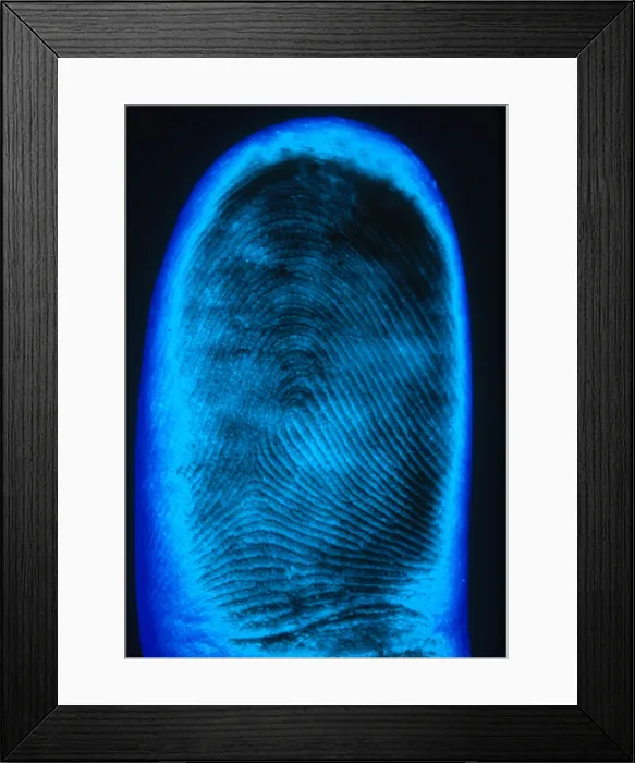 Framed Print : Human Fingerprint Framed Print : Human Fingerprint