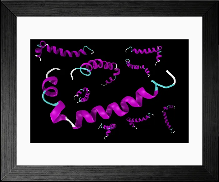 Framed Print : Amyloid beta peptide