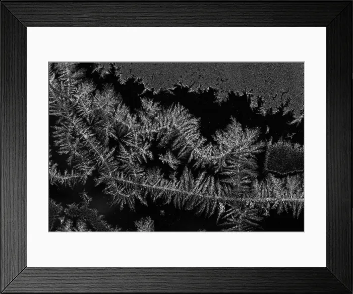 Framed Print : Frost Crystals Framed Print : Frost Crystals